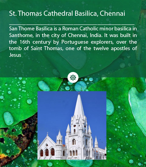 St. Thomas Cathedral Basilica Chennai