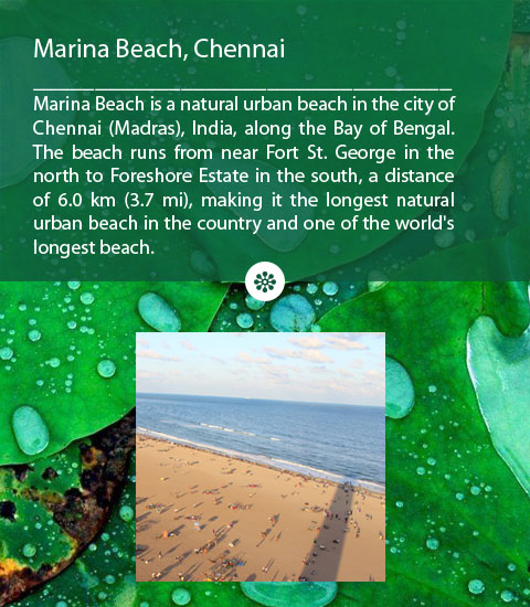 Marina Beach of Chennai